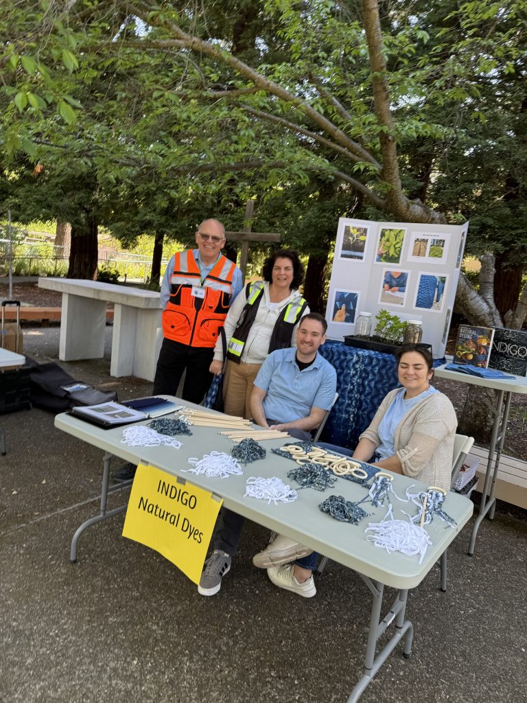 Indigo Natural Dyes table
