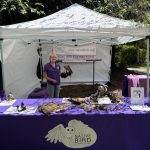 Native Birds Connection Table