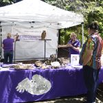 Native Birds Connection table with a visitor.