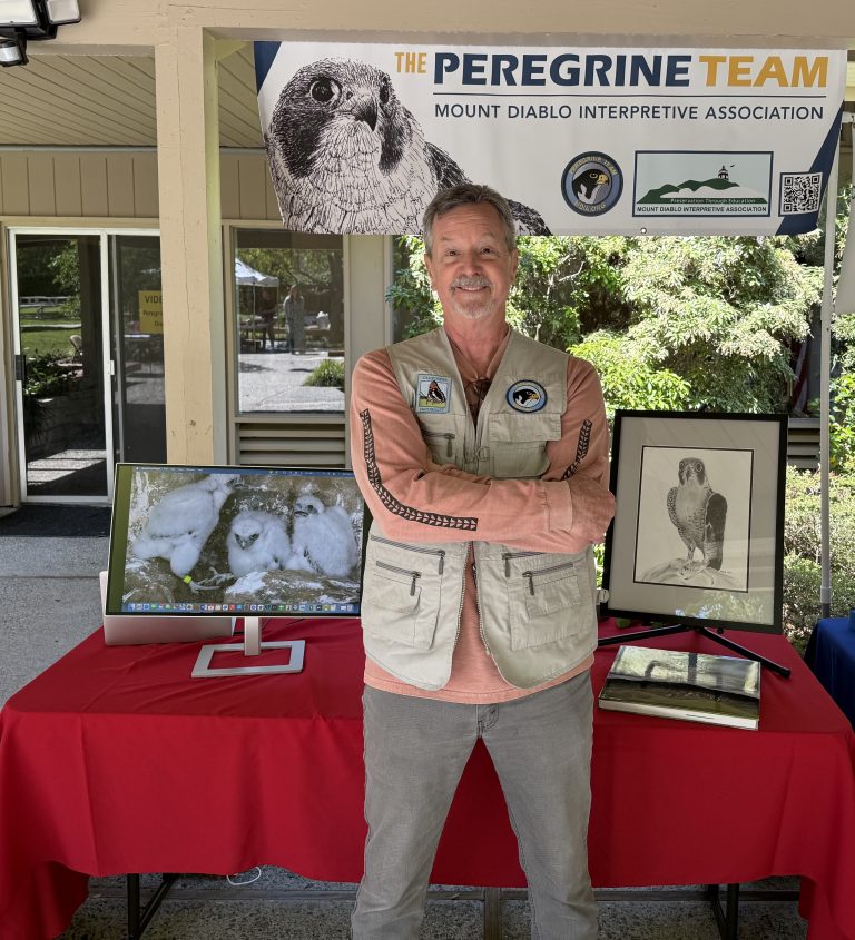 The Peregrine Team Table