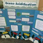 Poster presentation on Ocean Acidification